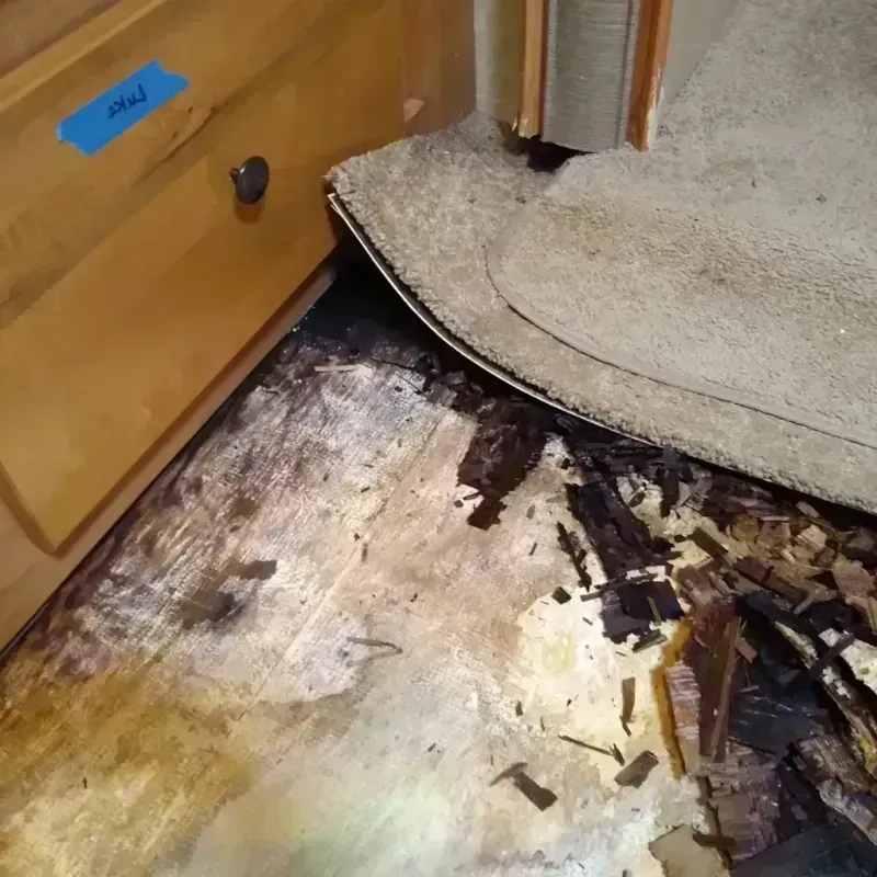 Wood Floor Water Damage in Colquitt County, GA